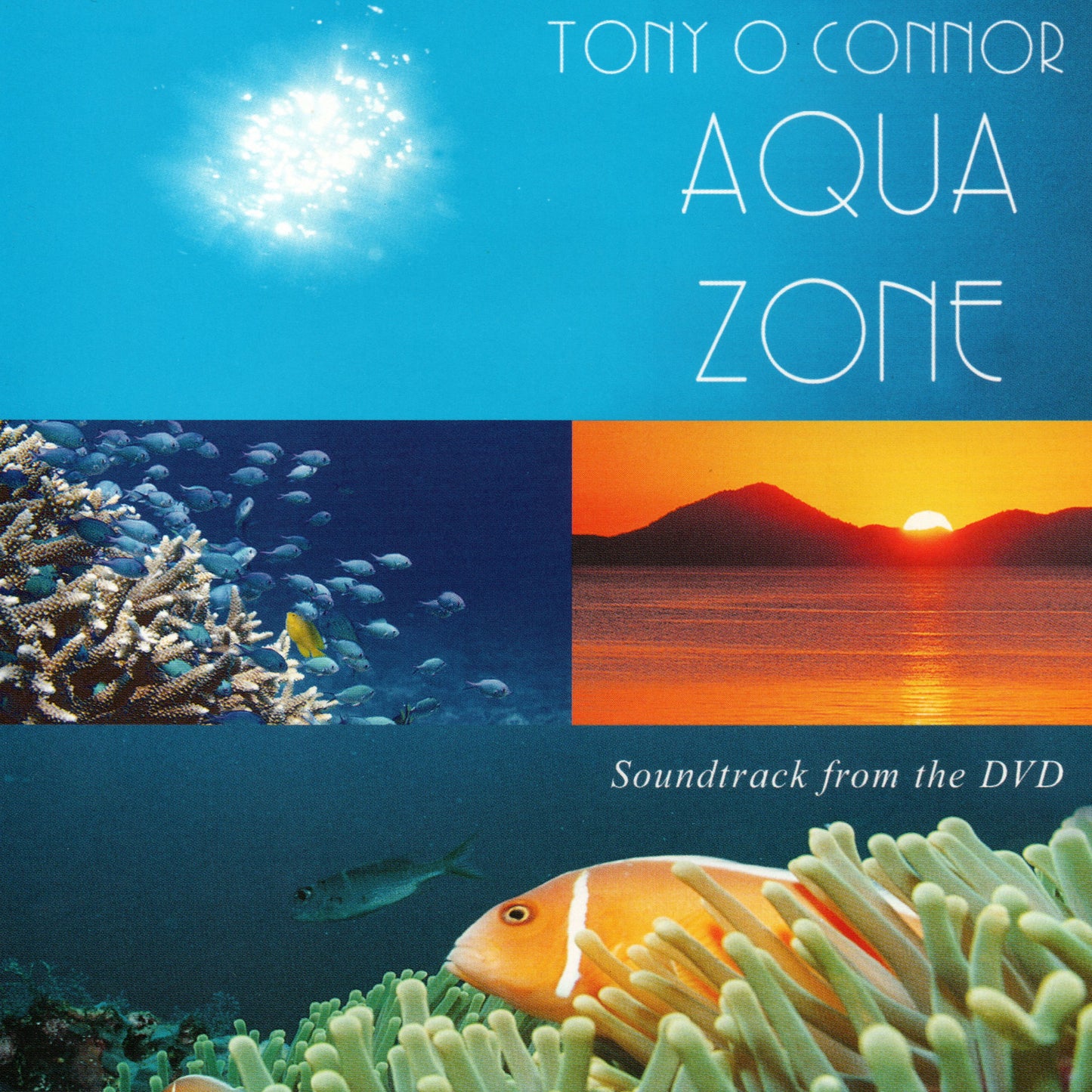 Aqua Zone DVD